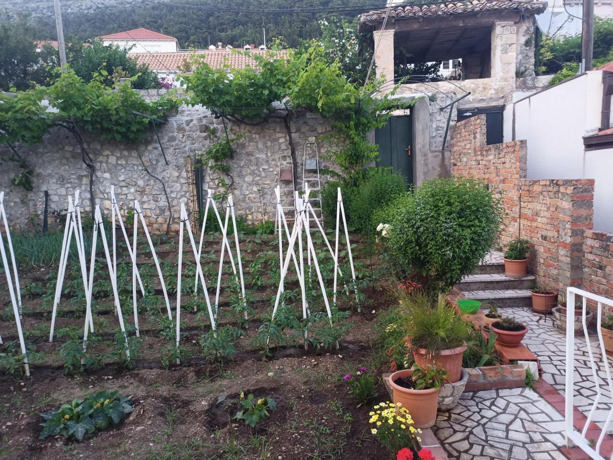 Apartment Rina - Old Town Dubrovnik Extérieur photo